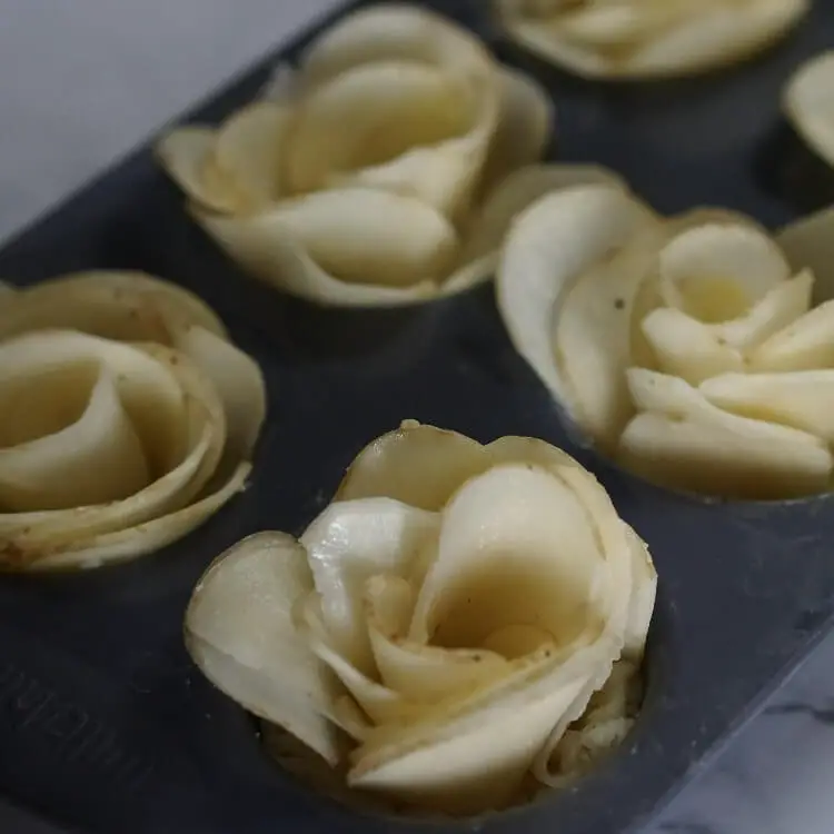potato roses