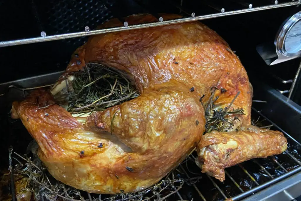 turkey in oven