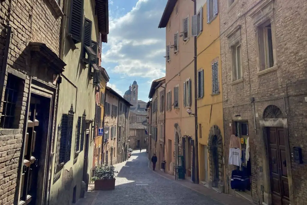 Urbino