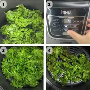 air fry kale chips