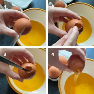 clear the egg