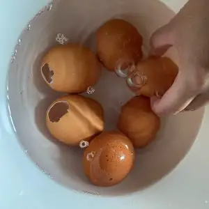 soak egg