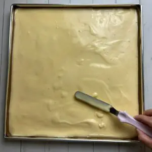 cake in pan