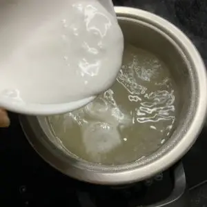 add coconut milk