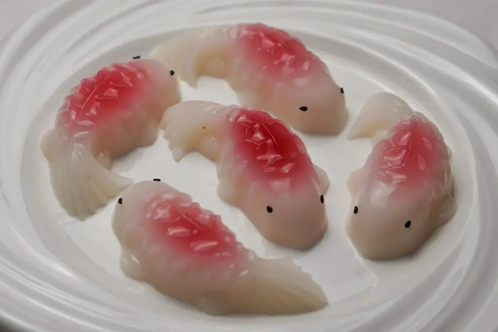 koi fish jelly