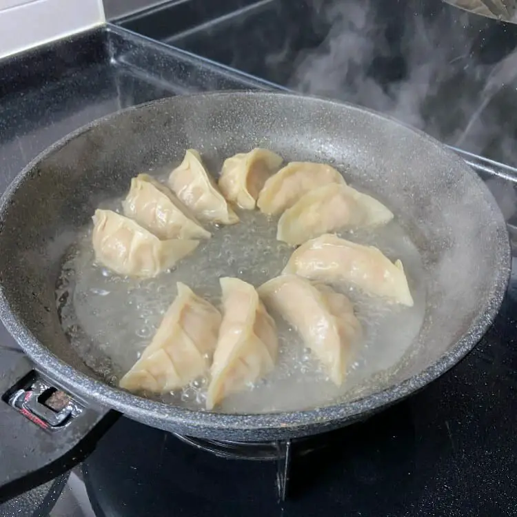 steam fried potsticker dumpling